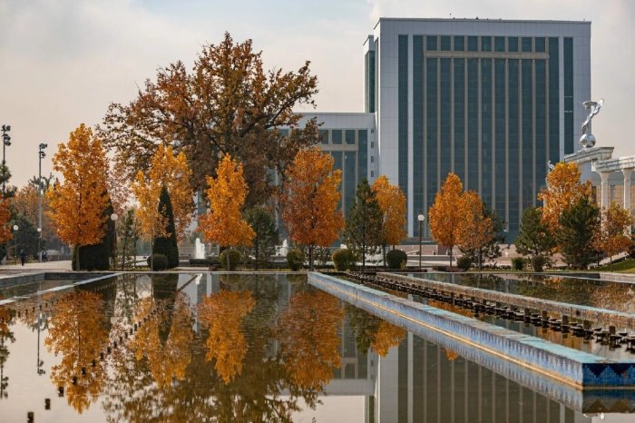 Совуқ антициклон 5 декабргача давом этади