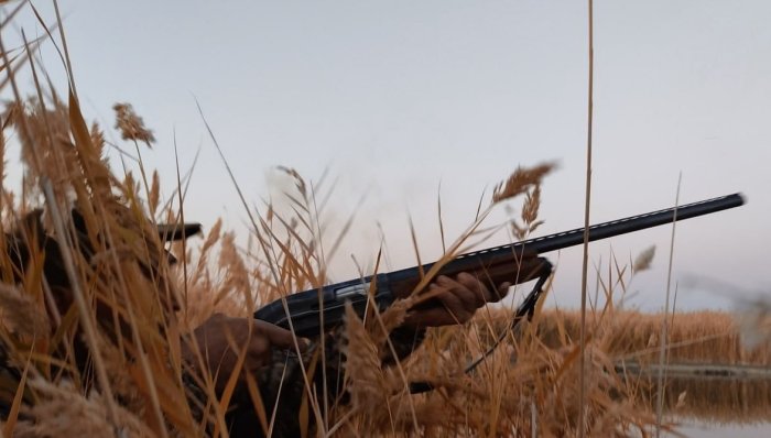 Жиззахда овчи ўз шеригини ёввойи тўнғиз деб ўйлаб отиб қўйди