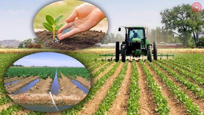 Qishloq xo‘jaligi ekinlari urug‘liklarining sifatini baholash tizimi tubdan isloh qilinadi