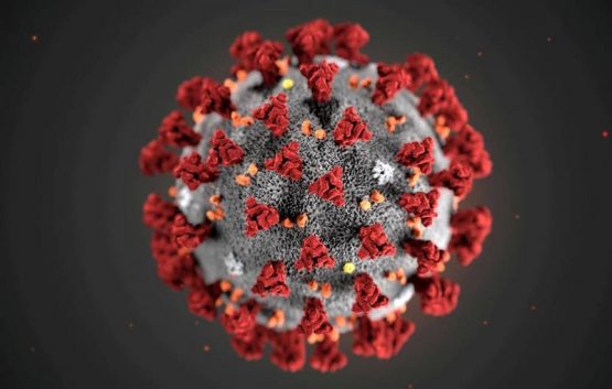 AQSh olimlari koronavirusni batamom bloklovchi antitanachani aniqlagani rost