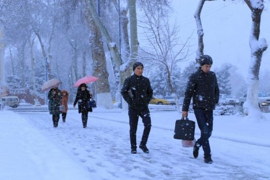 Талабалар қишки таътилга қачон чиқиши маълум бўлди