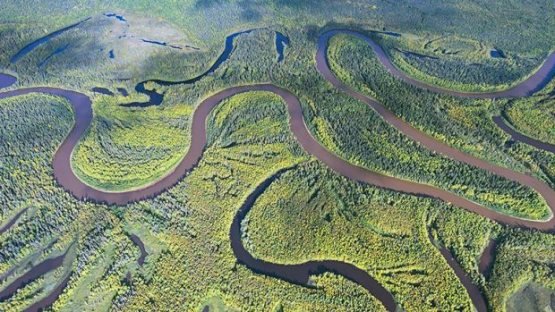 Tabiati dastlabki ko‘rinishida eng yaxshi saqlanib qolgan davlatlar ma’lum qilindi