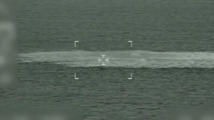 Хитой вакили: “Шимолий оқим” бўйича текширувлар Россия билан ҳамкорликни талаб қилади