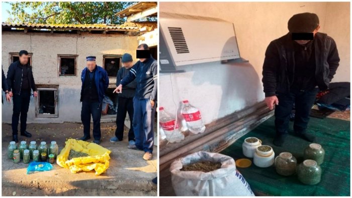 Тошкент вилоятида қарийб 12,3 кг гиёҳвандлик воситалари ашёвий далил сифатида олинди