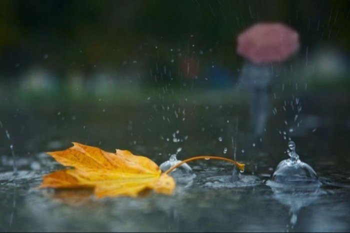 O‘zbekistonda hafta davomida yana yomg‘irli kunlar bo‘ladi