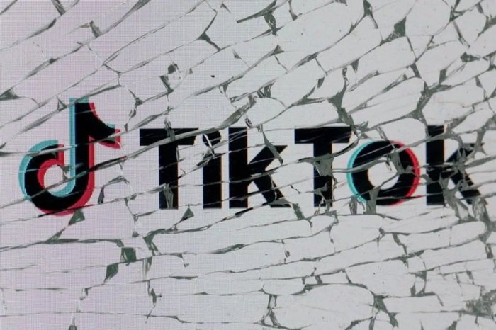  Yevropa TikTok'ga yarim milliard dollarlik zarba berdi