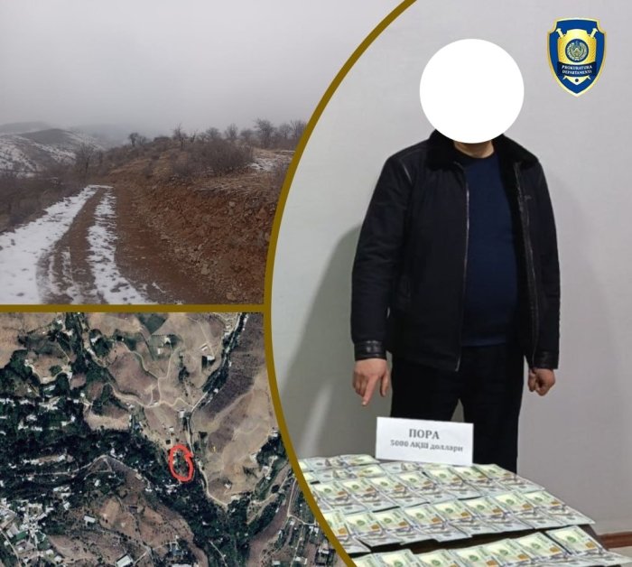 Namanganda o‘rmon xo‘jaligi mas’ul shaxslari va kadastr mutaxassisi ushlandi!