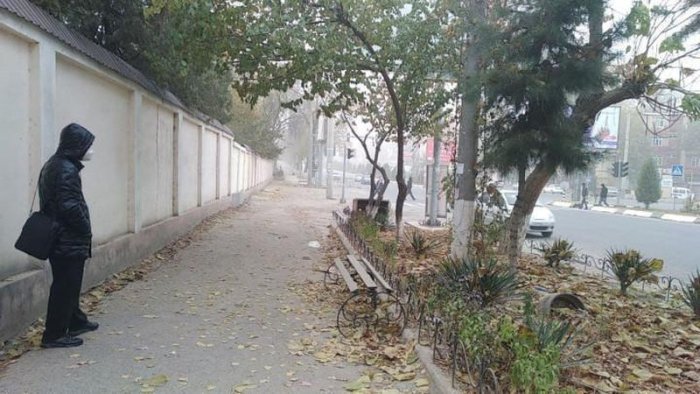 Қишнинг илк кунида бизни қандай об-ҳаво кутмоқда?