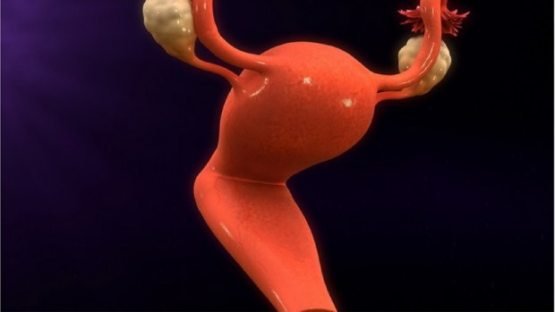 Bachadonni olib tashlashning miyaga ta’siri o‘rganildi