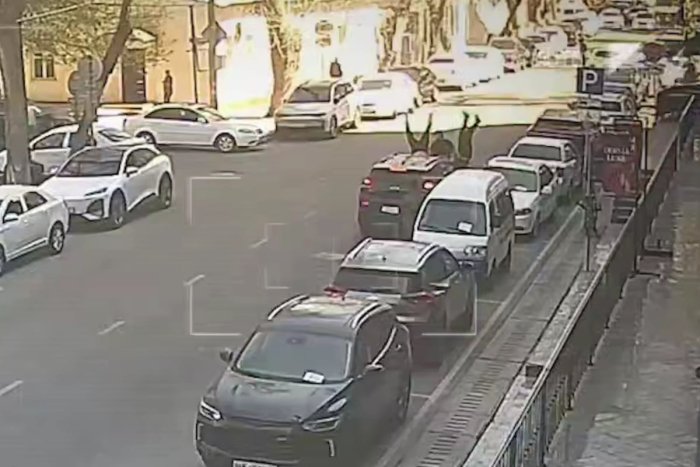 Toshkentda 4 kishini urib yuborgan Tracker haydovchisiga jinoyat ishi qo‘zg‘atildi