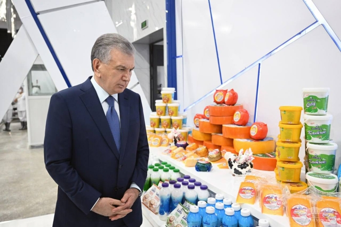 Prezident Buxorodagi klaster faoliyati bilan tanishdi