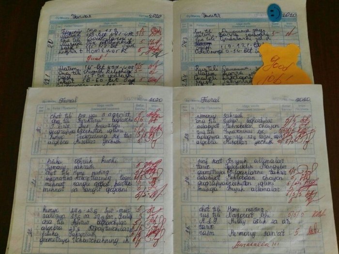 Maktablarda an’anaviy (qog‘oz) kundaliklar joriy etilyapti(mi)?