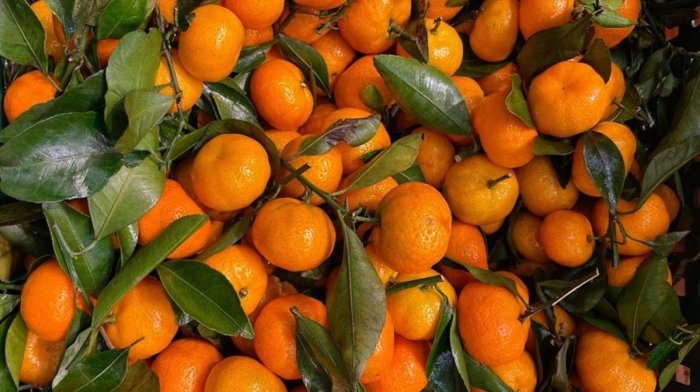 Хитойдан мандарин ва ананас импорти вақтинча рухсат этилди