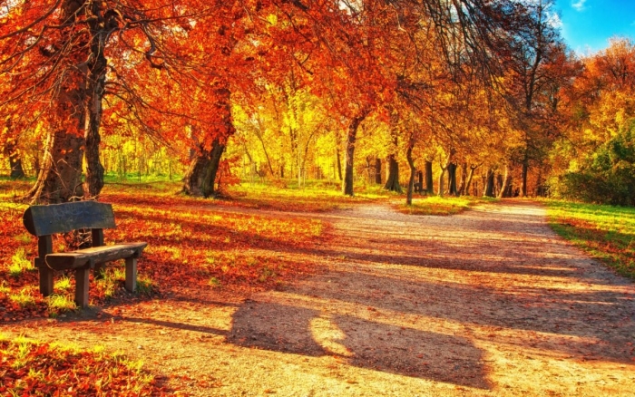 Bugun oxirgi 5 yillikdagi eng issiq kun bo‘ldi