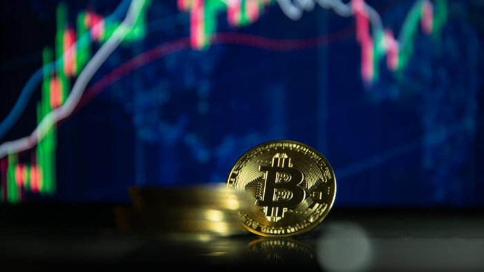 Trampning bayonoti kriptovalyuta bozorining qulashiga sabab bo‘ldi