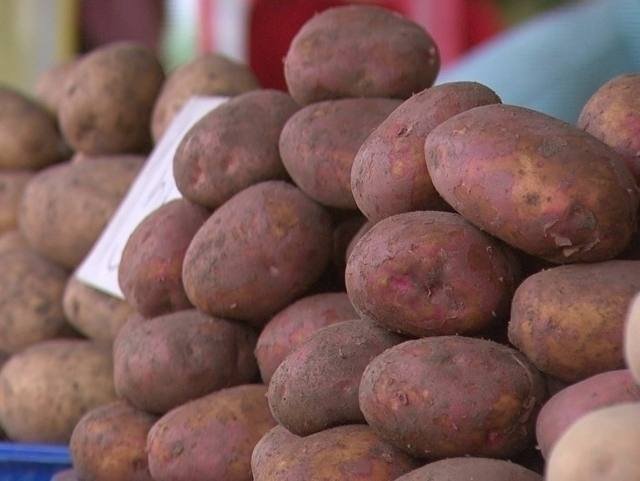 O‘zbekistonda kartoshka narxi 1 oyda salkam 13 foizga oshdi