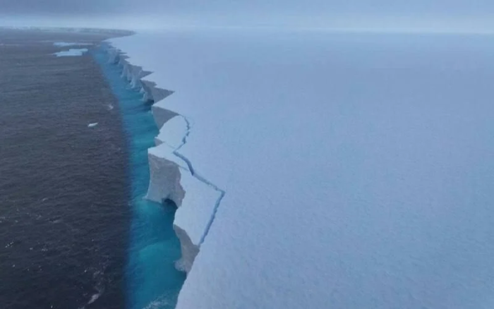 Дунёдаги энг катта айсбергнинг майдони 1 000 квадрат километрга қисқарди