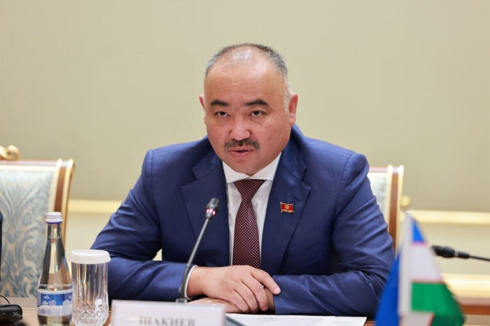 Танзила Нарбаева Қирғиз Республикаси  Торағаси билан учрашди
