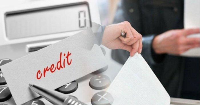 Жиззах вилоятида фуқароларнинг номига кредит ажратиб ўз эҳтиёжлари учун сарфлаб юборган шахслар фош этилди