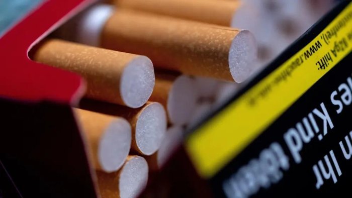 Кунига икки "сигарет" ҳам ўлим хавфини 60% га оширади — тадқиқот