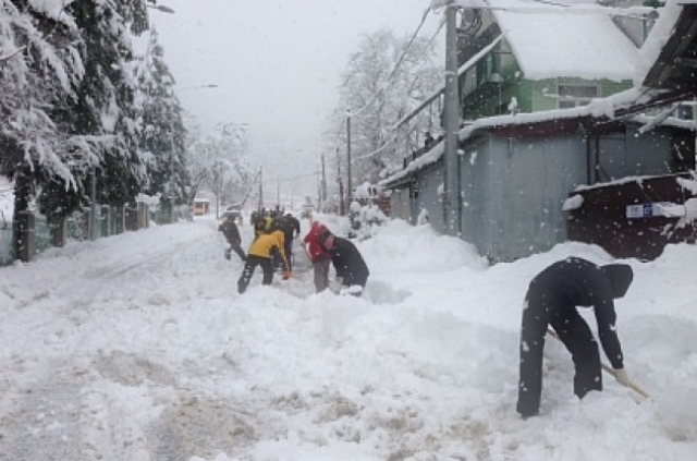 AQShda kuchli qorbo‘roni sabab odamlar halok bo‘lmoqda