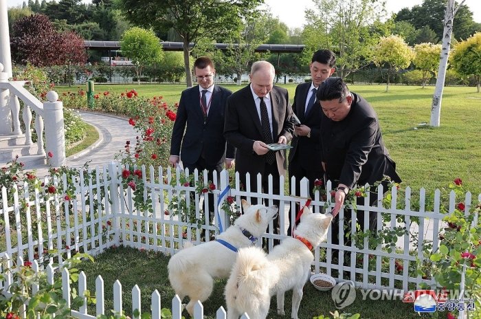 Putinga sovg‘a qilingan it namoyish etildi