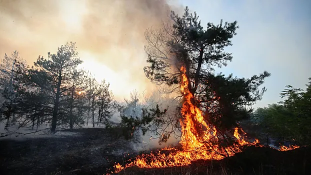 Yakutiyada tabiiy yong‘inlar maydoni 900 ming gektardan oshdi