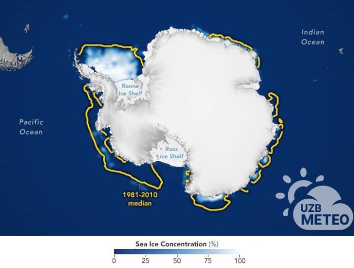 Антарктида музликлари яна рекорд даражада эриди