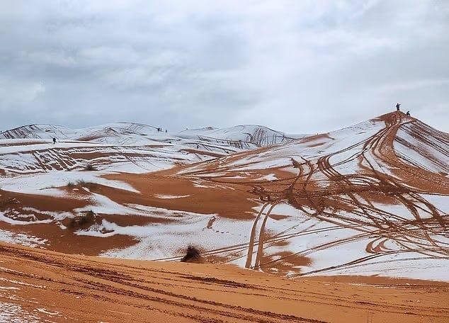 Sahroi Kabirda noyob hodisa: sahroda qor yog‘di