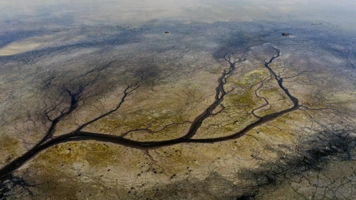 2040 yilda 33 ta mamlakat suv tanqisligiga duch keladi