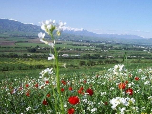 Дам олиш кунлари айрим ҳудудлар 27 даражагача исийди