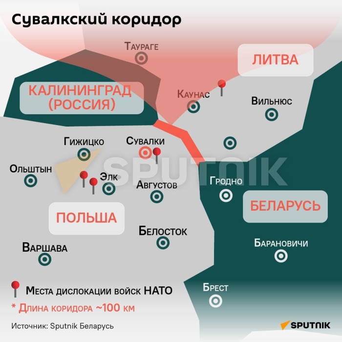 Polsha ixtisoslashgan yangi sapyor batalonini yaratadi