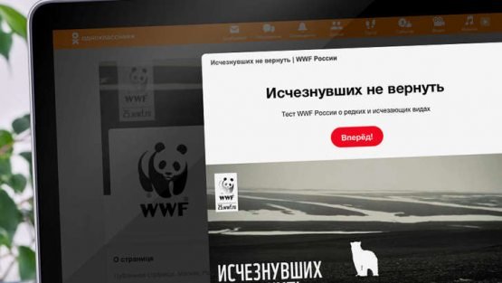 Odnoklassniki orqali kamyob hayvonlar to‘g‘risida qiziqarli faktlarni bilib oling!
