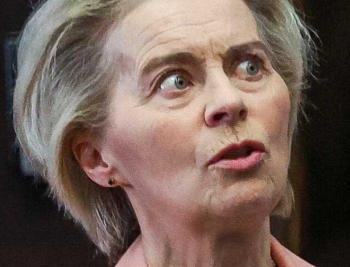 Etim qo‘zi boqsang...: Ursula fon der Lyayen Zelenskiyning YEIga qaratilgan tanqididan ranjidi