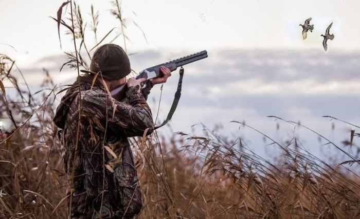 Respublikamizda ovchilikka mo‘ljallangan qancha yer maydoni mavjud?