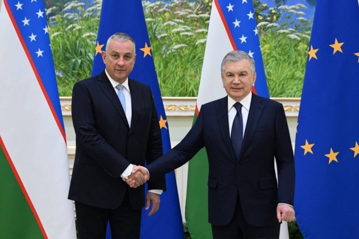 Shavkat Mirziyoyev Yevropa ittifoqining xalqaro hamkorlik bo‘yicha komissarini qabul qildi