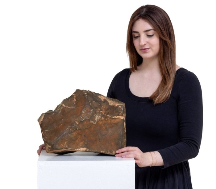 Marsdan kelgan 25 kilogrammlik meteorit 4 million dollarga auksionda sotiladi