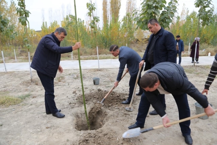 Toshkent viloyatida 23 ta “Yashil bog‘” barpo etiladi