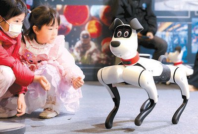 Robot-itlar Xitoyni zabt etdimi?