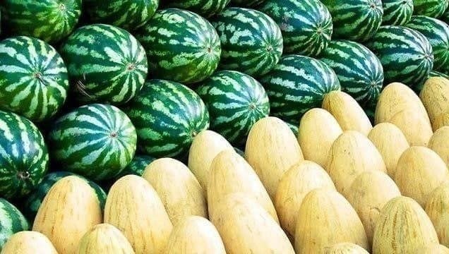 Tarvuz-qovundan zaharlanish oqibatida aholi vafot etish holatlari qayd etilmagan — Sanepidqo‘mita