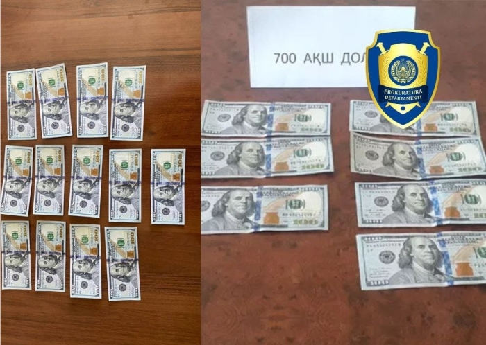 Qashqadaryoda  1300 dollarga o‘qishga kiritib qo‘ymoqchi bo‘lgan firibgar ushlandi