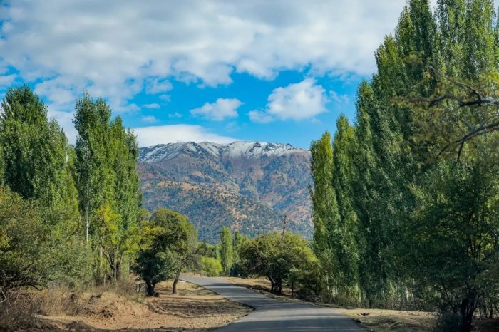 121 та тоғ ва чўққилар номлари давлат тили меъёрларига мослаштирилди ва расмий тасдиқланди