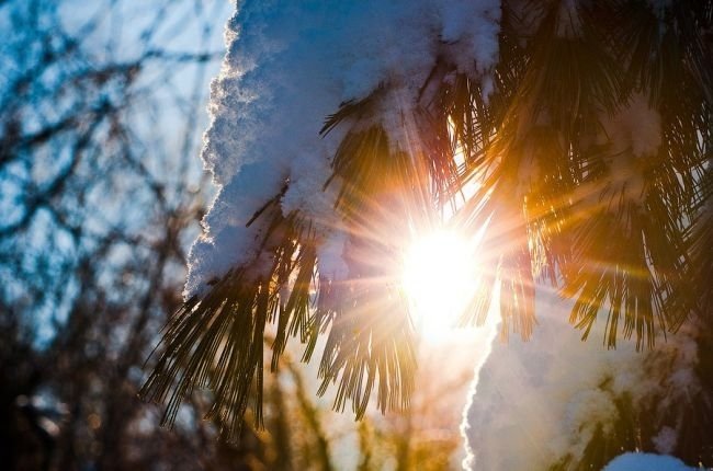 2 fevral kuni kutilayotgan ob-havo ma’lumoti e’lon qilindi