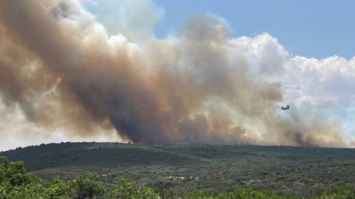 Grand-Kanyondagi yong‘in tufayli 500 nafarga yaqin sayyoh evakuasiya qilindi
