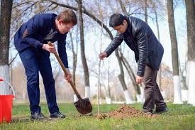 Ўзбекистонда умумхалқ ҳашари ўтказилади​​​​​​​