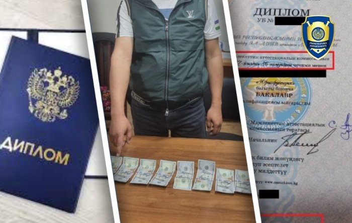 Хоразм вилоятида фуқароларга сохта диплом олиб берган шахс ушланди