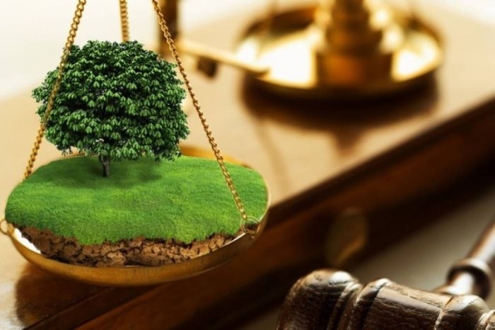 Кадастр соҳасида қонунни бузганлар жавобгарликка тортилмоқда