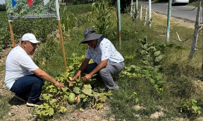Dala chetlarida ekin ekmaganlarga jarima qo‘llaniladi