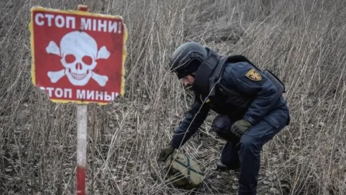 Yaponiya va Kambodja Ukraina hududini tozalashga yordam bermoqchi