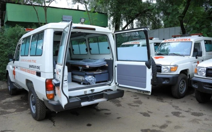 Efiopiya daraxtlarning qulashi oqibatida 22 kishi halok bo‘ldi